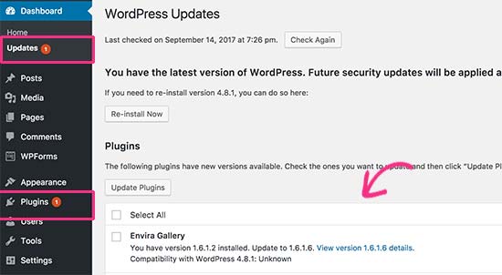 Actualización de plugin de WordPress disponible 