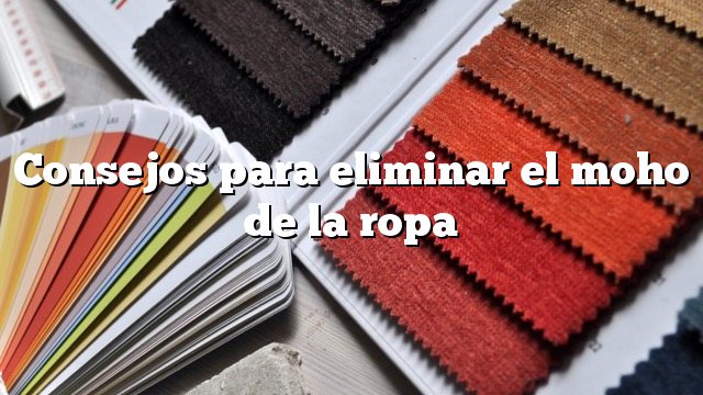 Consejos para eliminar el moho de la ropa