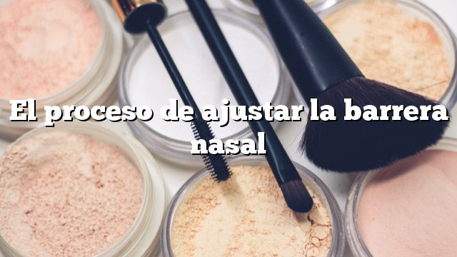 El proceso de ajustar la barrera nasal